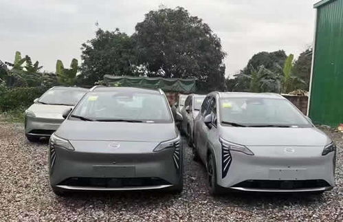 广州滴滴租车价格表