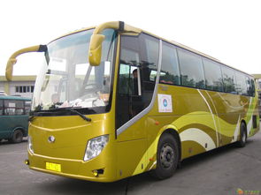 图 客车 从濮阳到珠海直达汽车 发车时刻表 多久能到 多少钱 广州租车