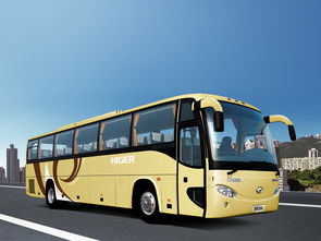 苏州金格马汽车租赁专业专心做