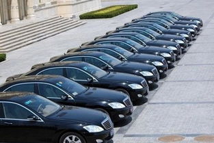 丽水市印发新能源汽车推广计划 2016年目标超900辆，广州汽车租赁行业积极响应